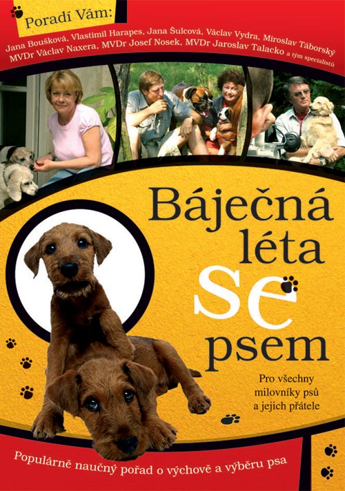 DVD Bjen lta se psem